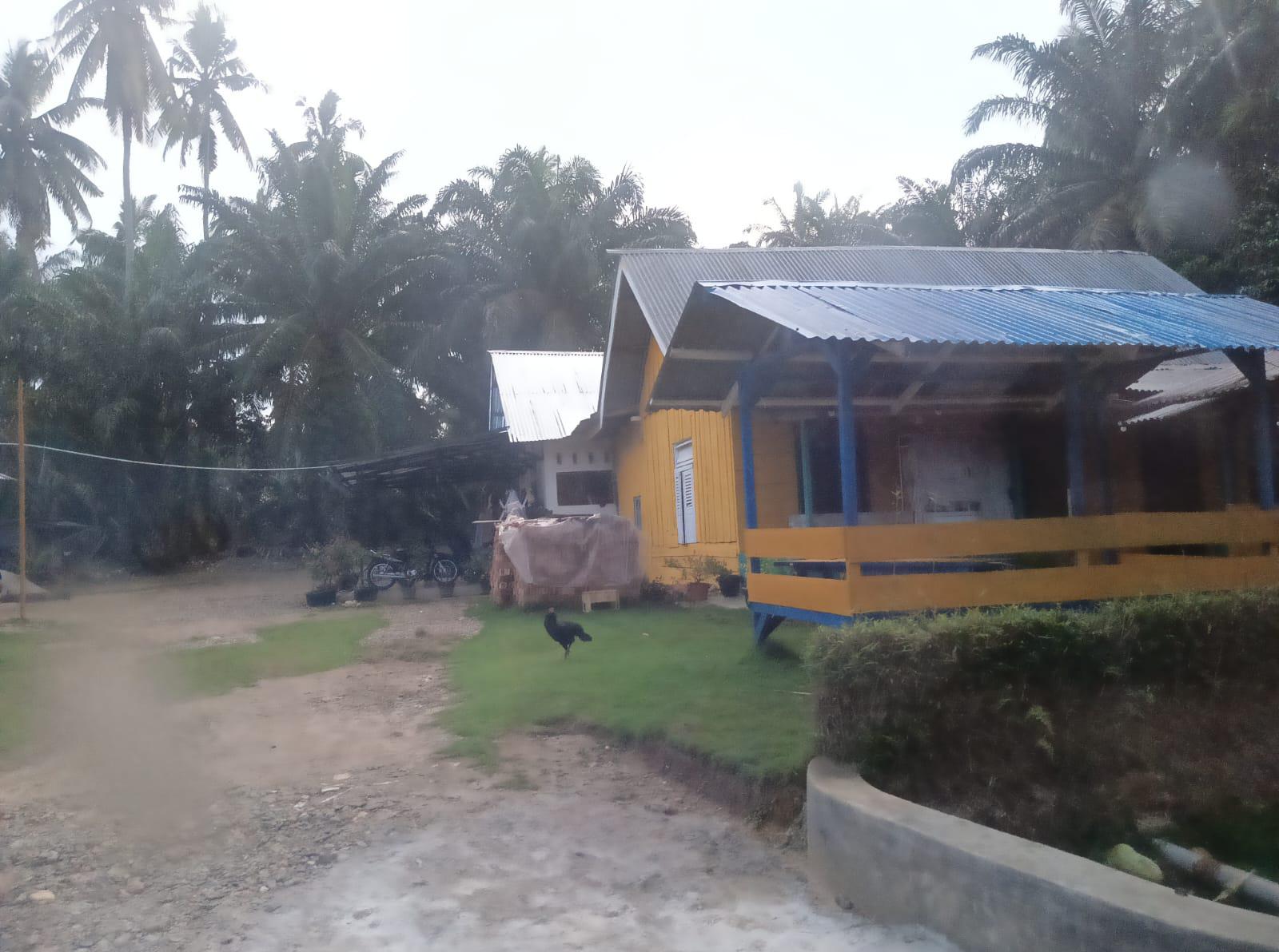 IMG-20260701-WA0015